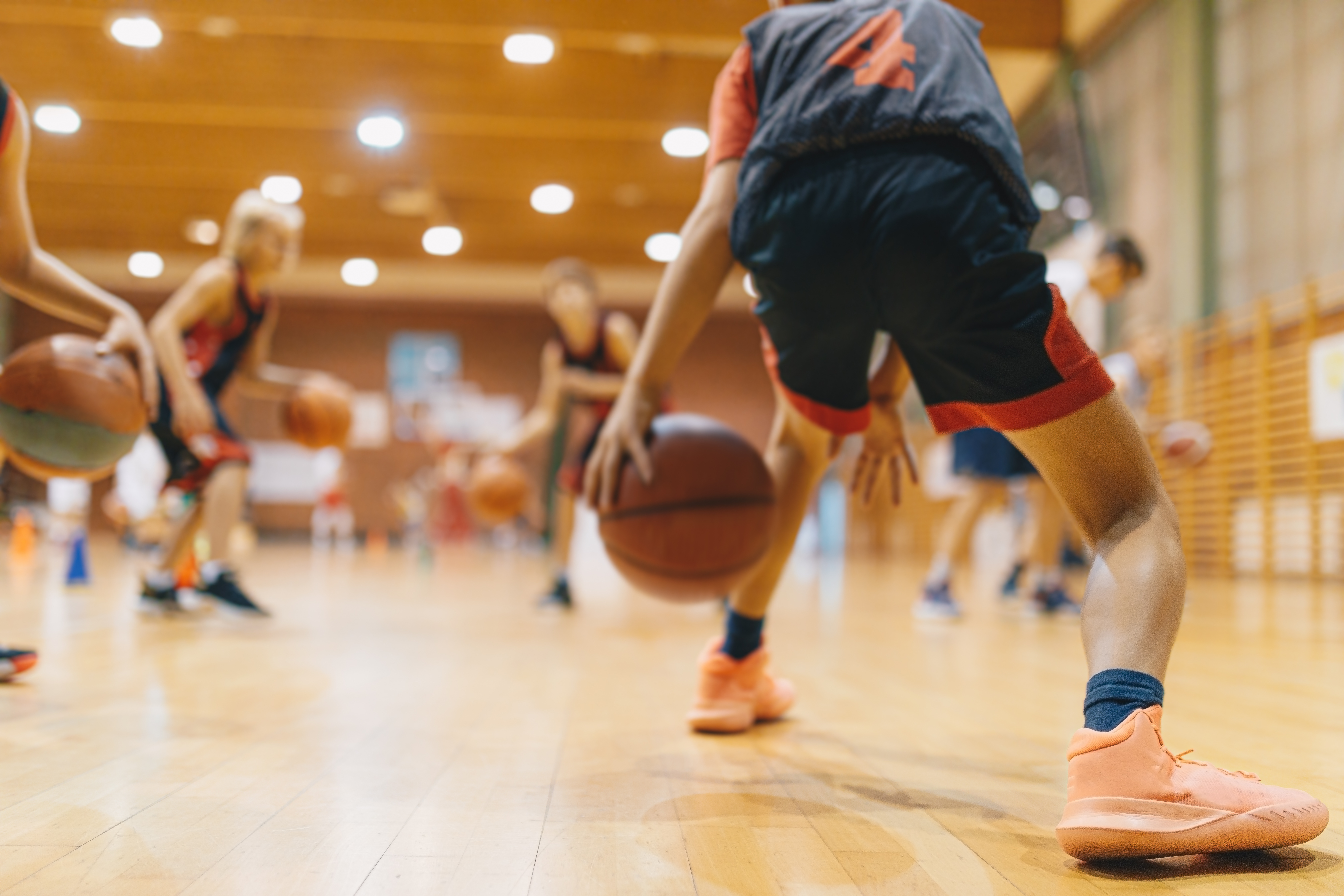 FIP Integrativa Infortuni Pallacanestro