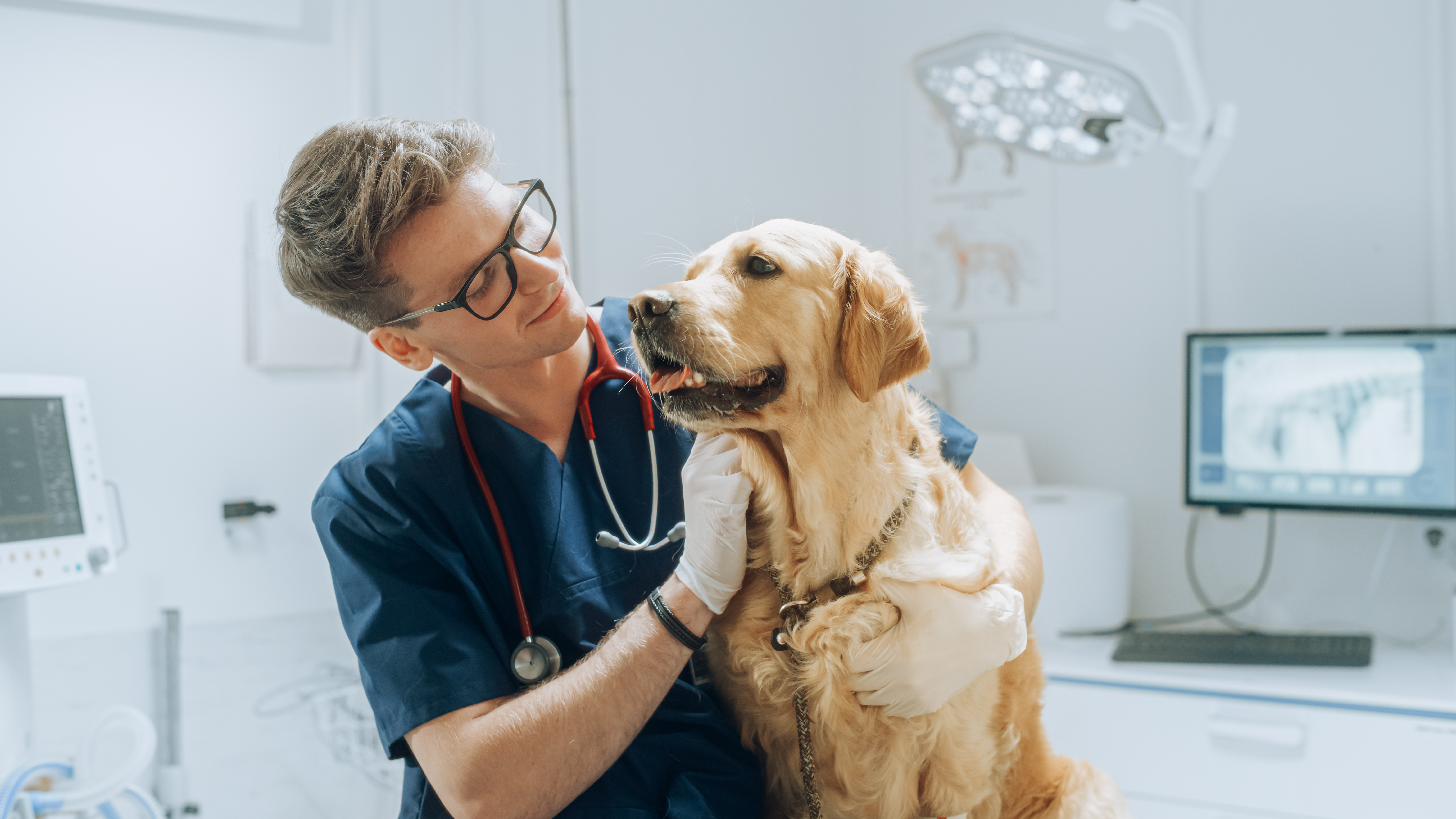 Veterinari SIVEMP