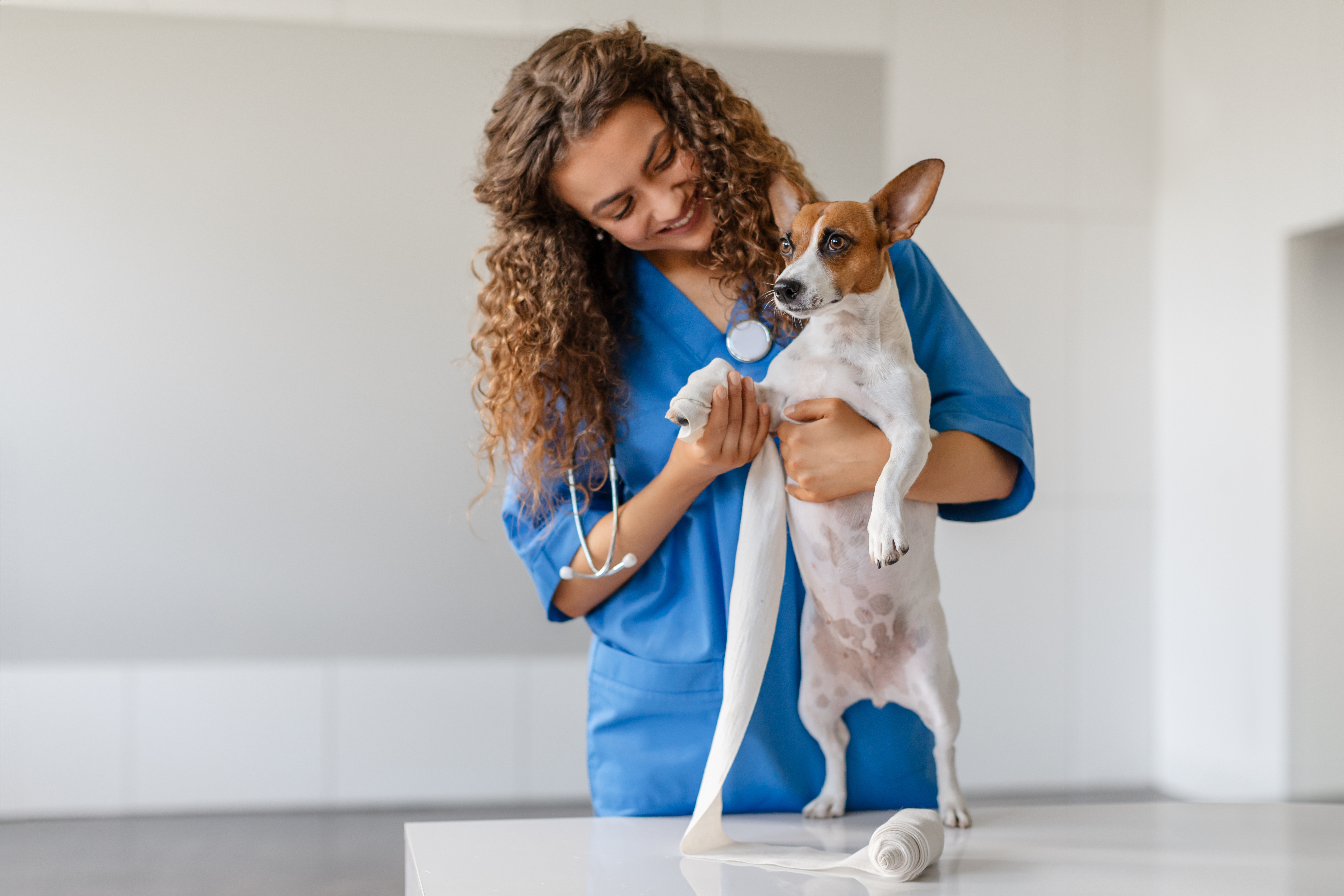 Veterinari ENPAV